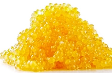 tobiko-gold tobiko-gold